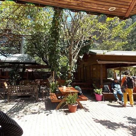 Olympos Orange